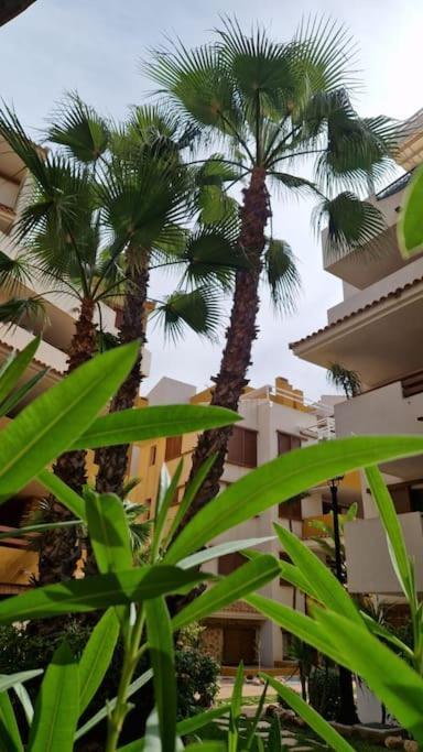 Olivia Sunny 2 Bedroom Apartament Punta Prima 托雷维耶哈 外观 照片